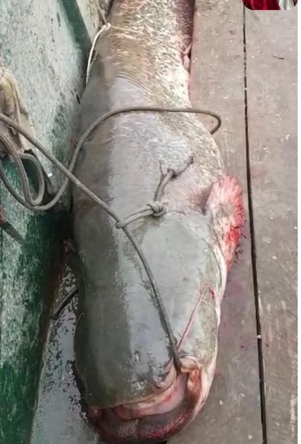 Smestaj Zeka Tekija Tekija  Bagian luar foto