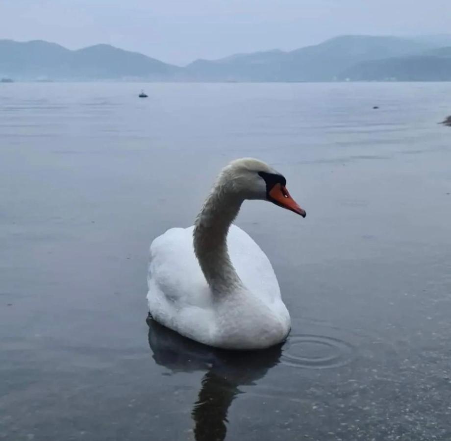 Smestaj Zeka Tekija Tekija  Bagian luar foto